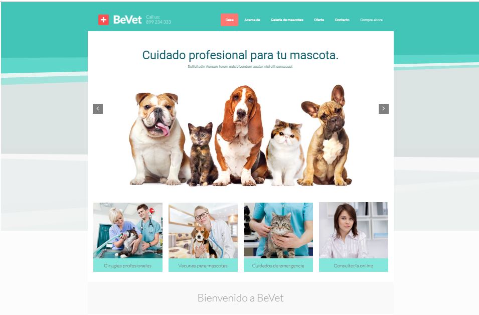 web-para-clinica-veterinaria